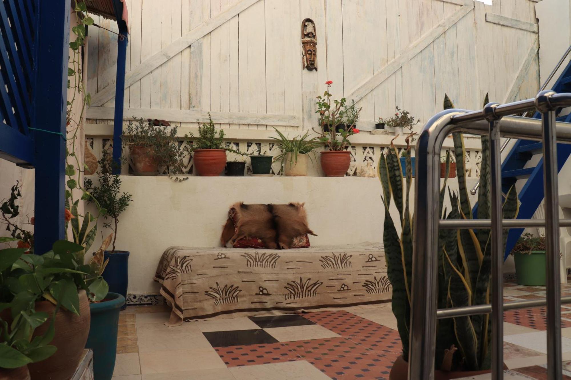 Asala Guest House Taghazout Εξωτερικό φωτογραφία